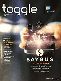 Toggle Magazine 